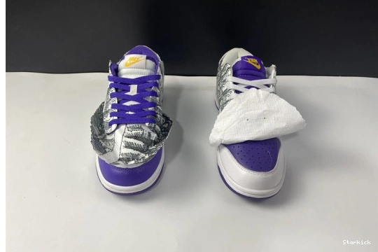 Dunk Nike DJ4636-100 Old Flip School the Low 0731